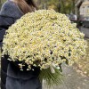 Букет из 101 ромашки