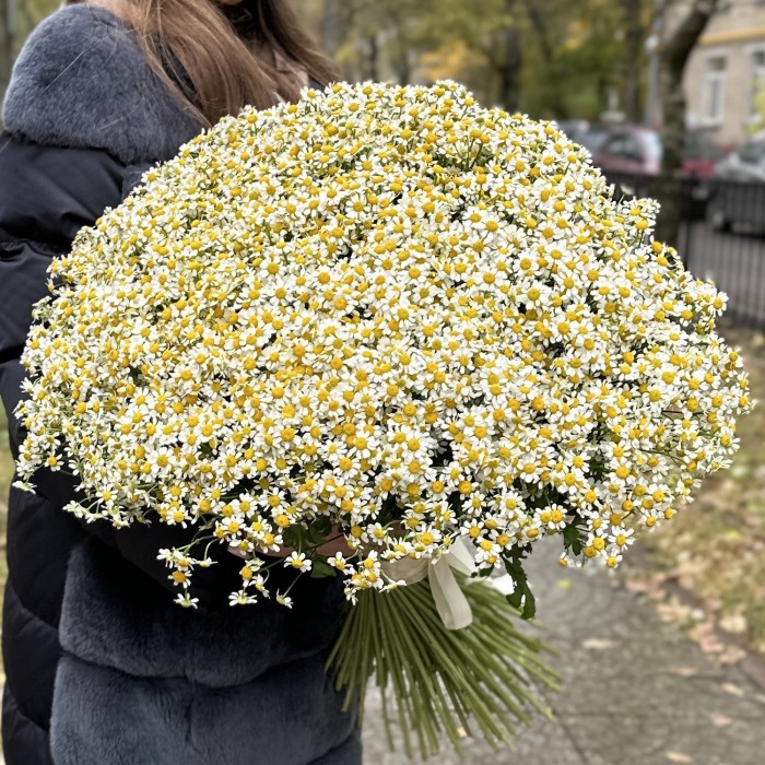 Букет из 101 ромашки