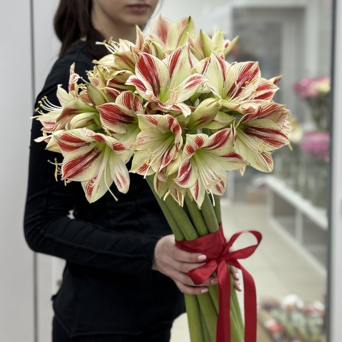 Букет из 11 бело-красных амариллисов