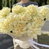 Букет из 11 крупных белых роз