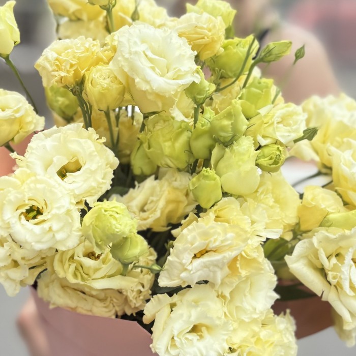 Букет из 11 махровых кремовых эустом