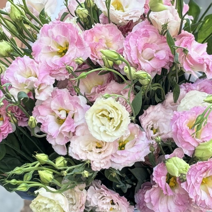 Букет из 11 махровых розовых эустом