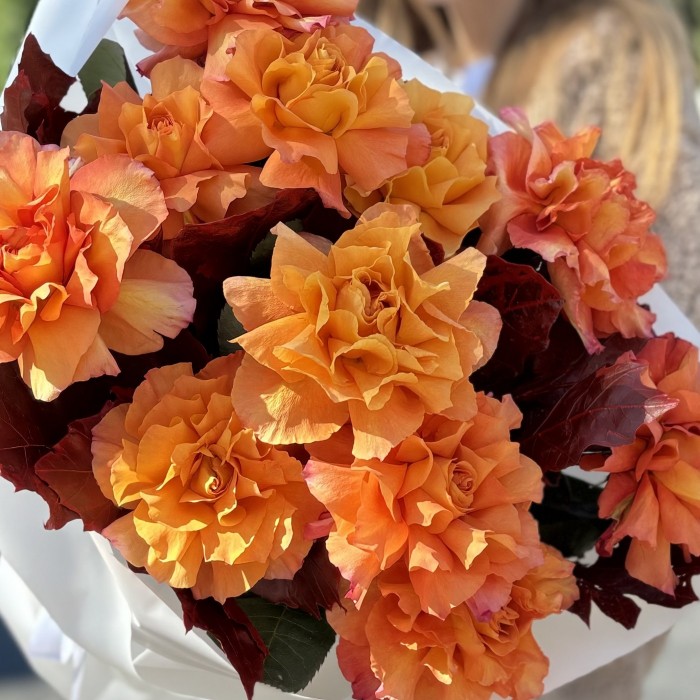 Букет из 11 пышных роз Фри Спирит с куэркусом