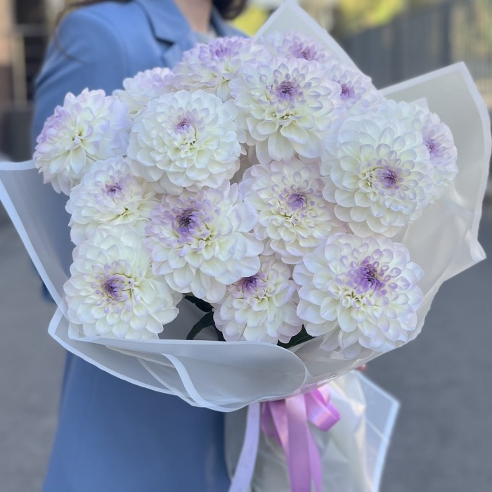 15 бело-сиреневых георгин