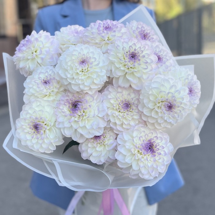 15 бело-сиреневых георгин