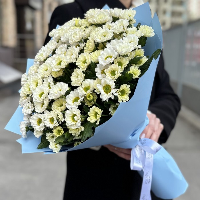Букет из 15 белых хризантем Сантини