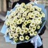 Букет из 15 белых хризантем Сантини