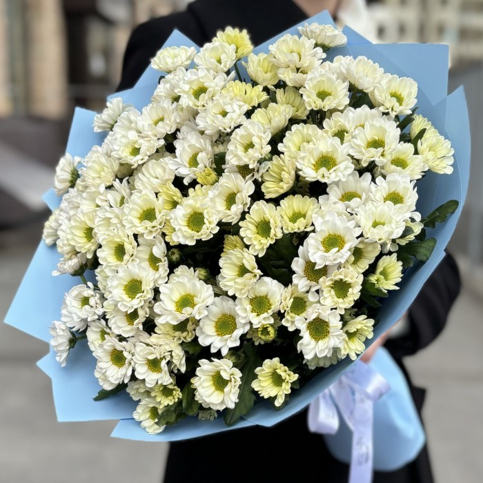 Букет из 15 белых хризантем Сантини