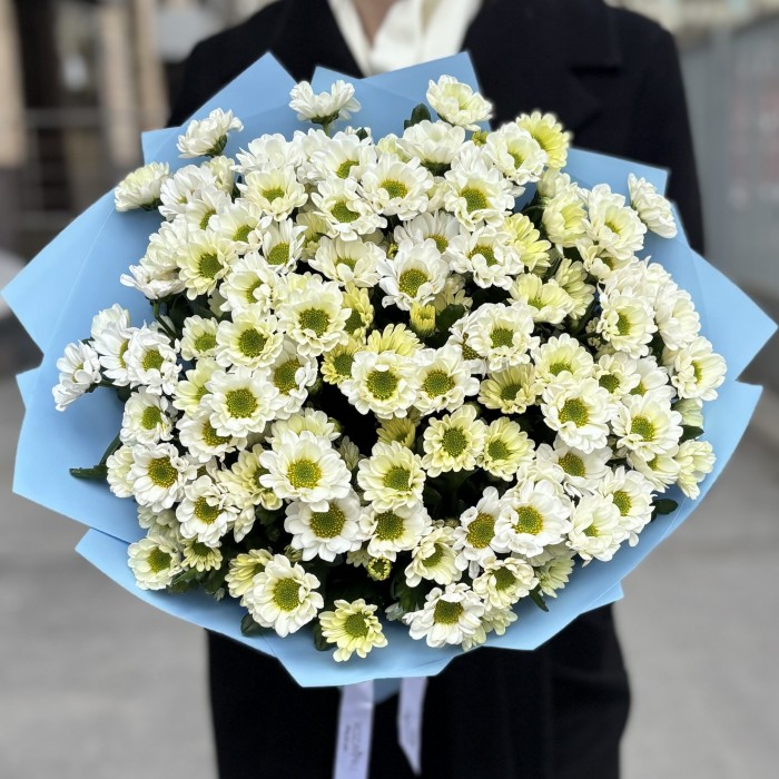 Букет из 15 белых хризантем Сантини