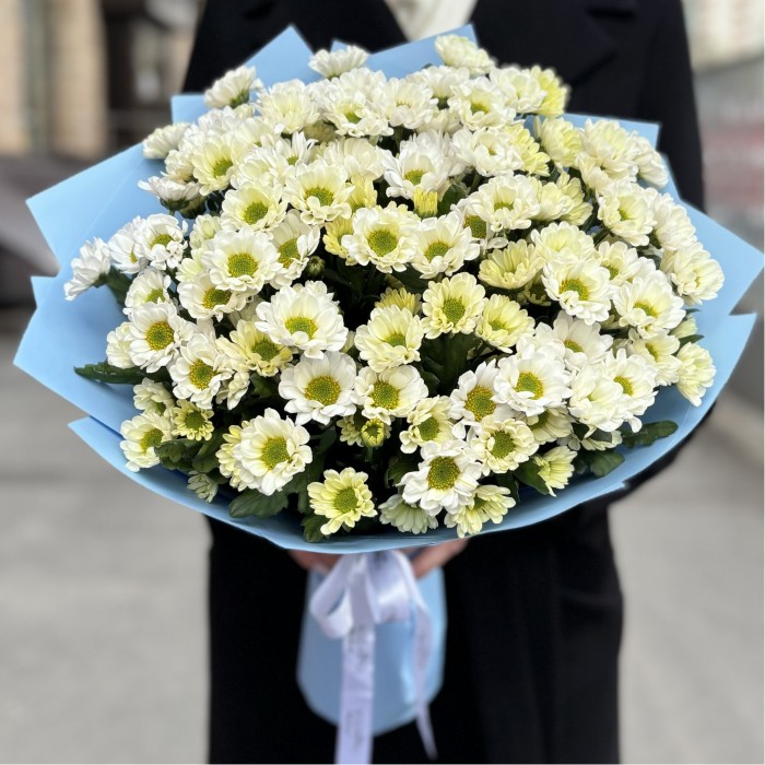 Букет из 15 белых хризантем Сантини