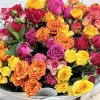 Букет из 15 кустовых и пионовидных роз mix