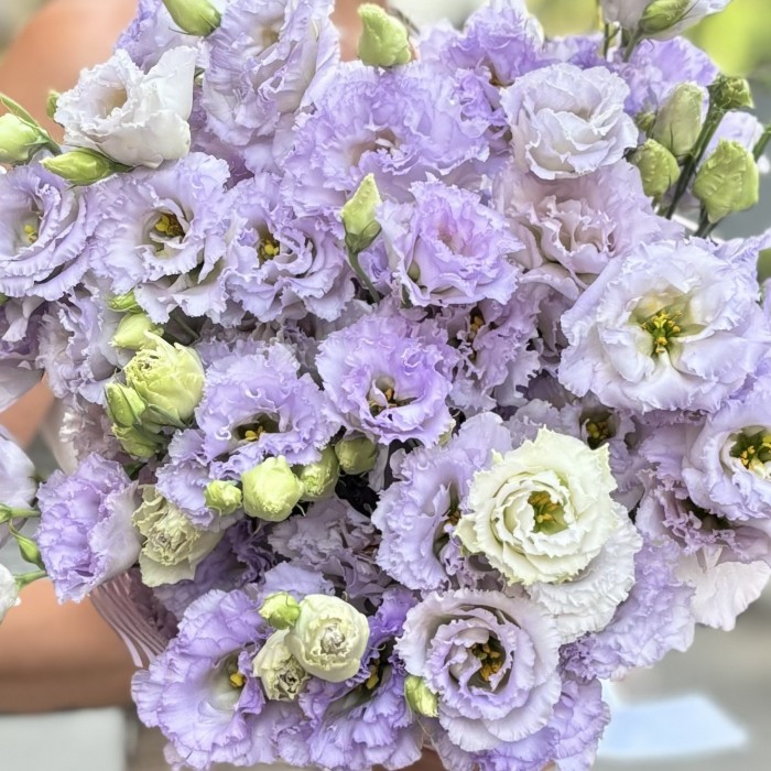 Букет из 15 махровых лавандовых эустом