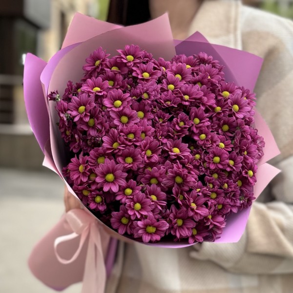 Букет из 15 малиновых хризантем Сантини