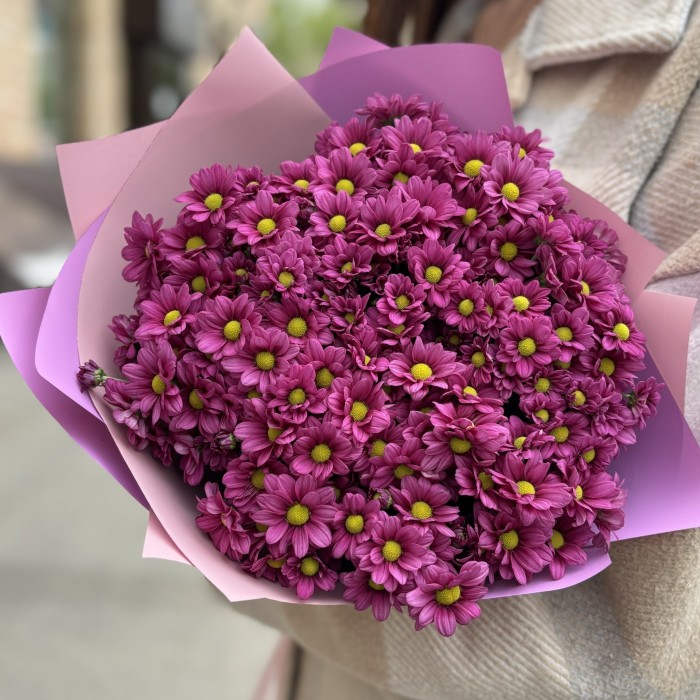 Букет из 15 малиновых хризантем Сантини