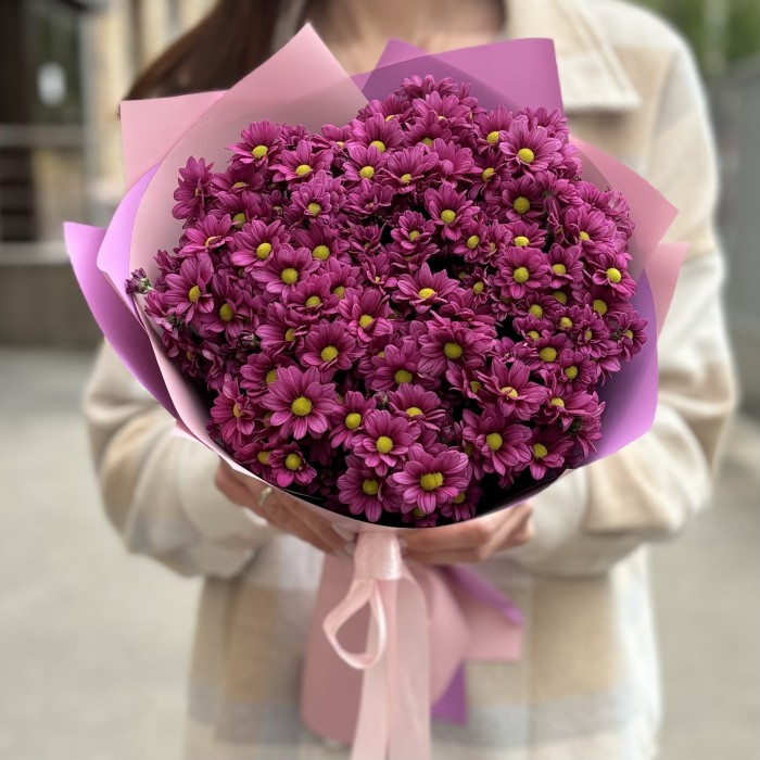 Букет из 15 малиновых хризантем Сантини