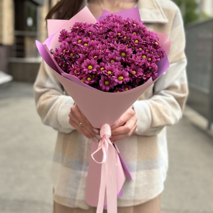 Букет из 15 малиновых хризантем Сантини