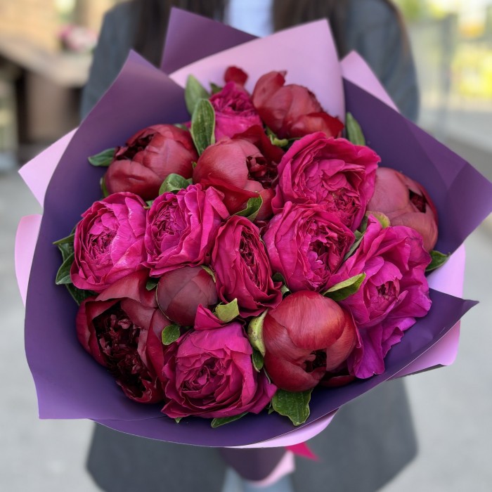 Букет из 15 малиновых пионов в упаковке