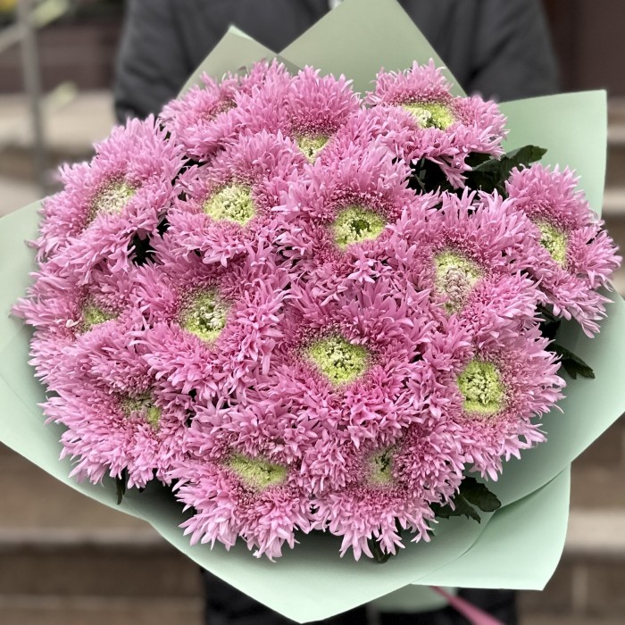 Букет из 15 розовых хризантем Этруско