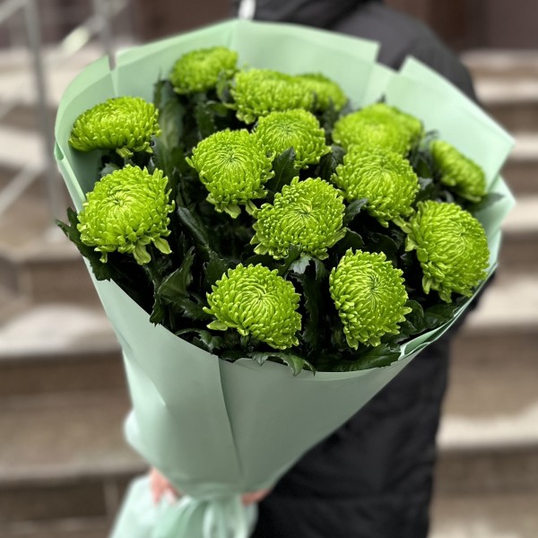 Букет из 15 зеленых хризантем