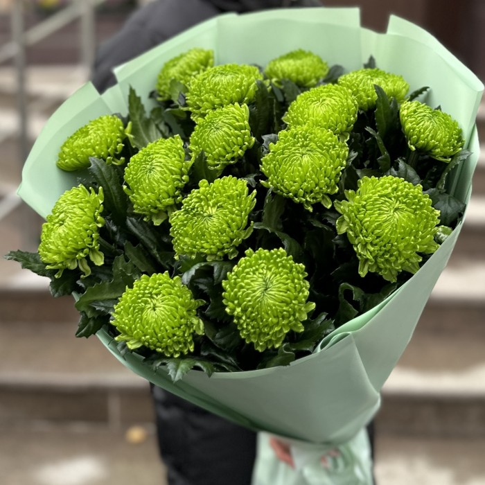 Букет из 15 зеленых хризантем