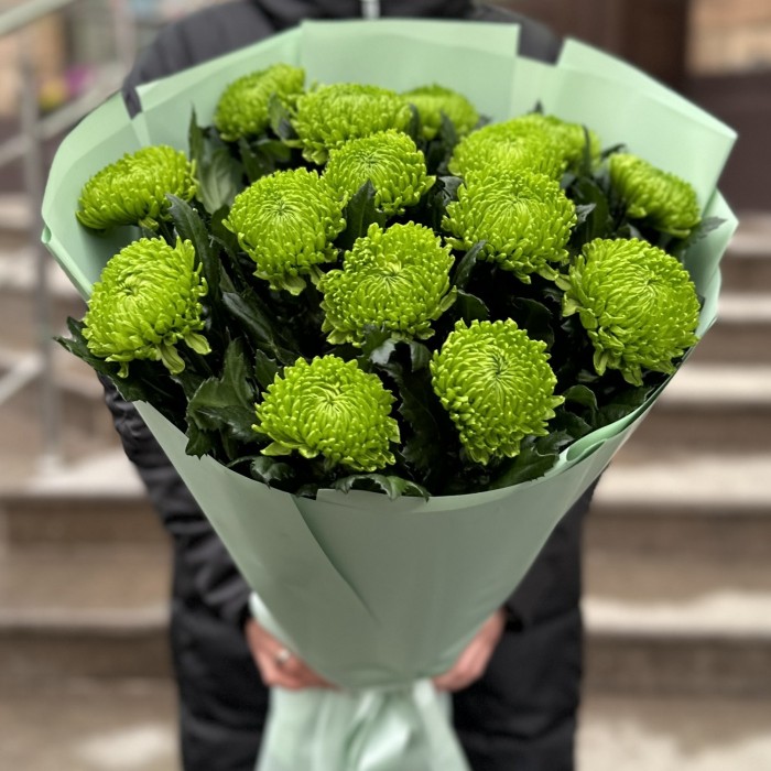 Букет из 15 зеленых хризантем