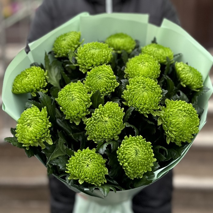 Букет из 15 зеленых хризантем