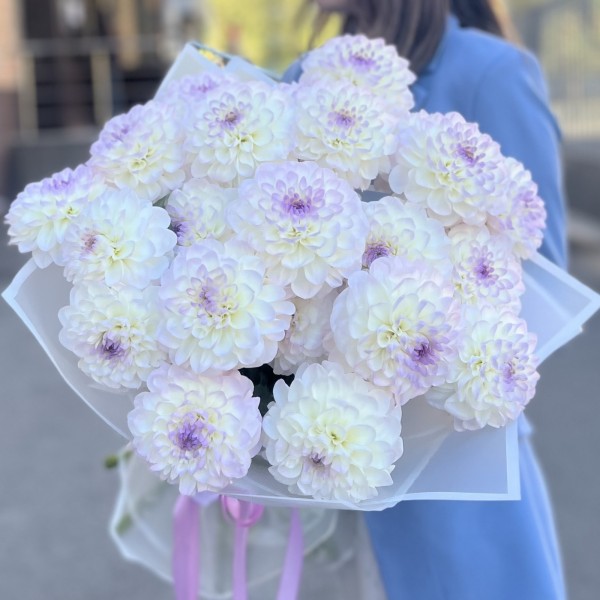 Букет из 21 бело-сиреневой георгины