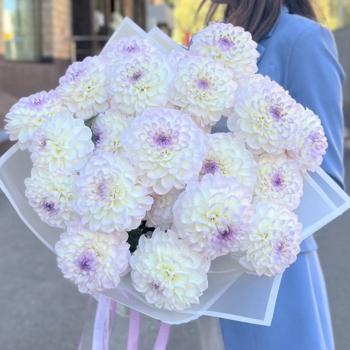 Букет из 21 бело-сиреневой георгины