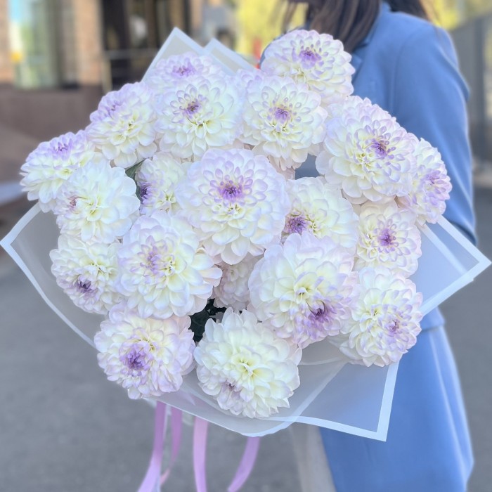 Букет из 21 бело-сиреневой георгины