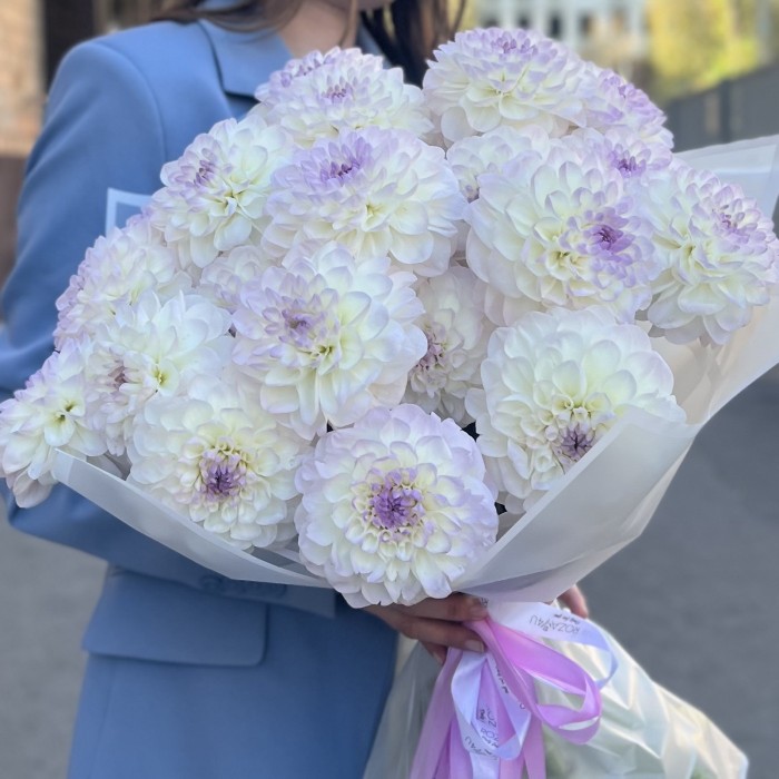 Букет из 21 бело-сиреневой георгины