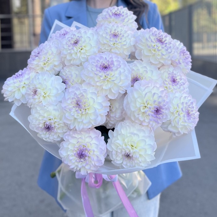 Букет из 21 бело-сиреневой георгины