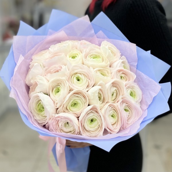 Букет из 25 бело-розовых ранункулюсов Ханой