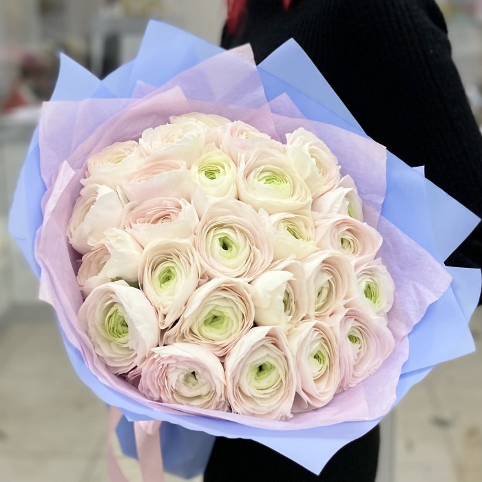 Букет из 25 бело-розовых ранункулюсов Ханой
