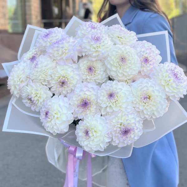 Букет из 25 бело-сиреневых георгин