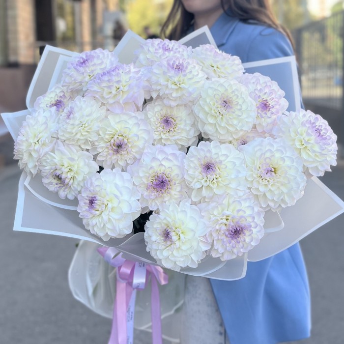 Букет из 25 бело-сиреневых георгин