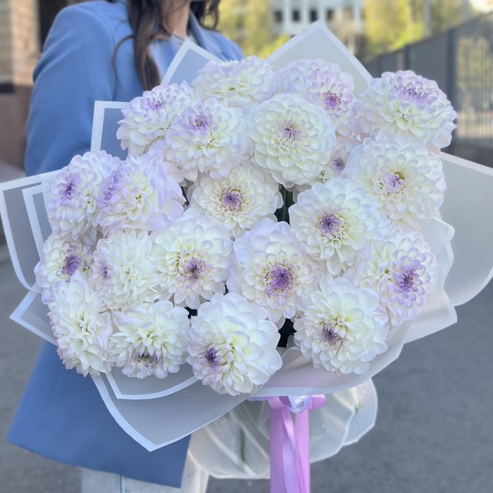 Букет из 25 бело-сиреневых георгин