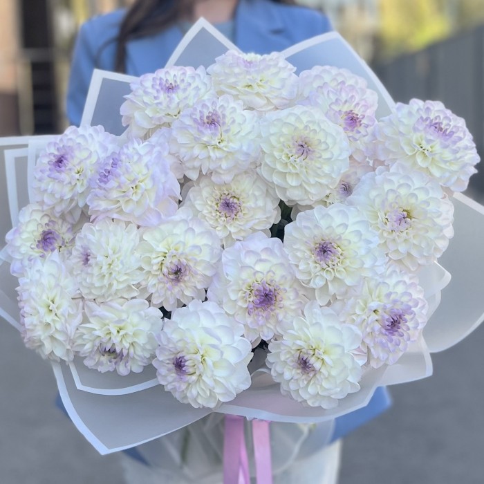 Букет из 25 бело-сиреневых георгин