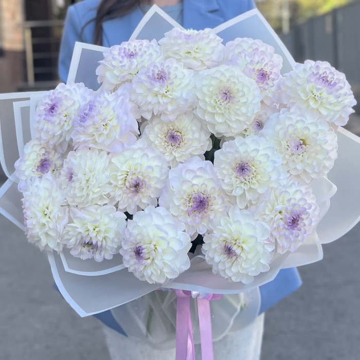 Букет из 25 бело-сиреневых георгин
