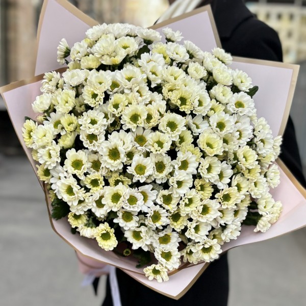 Букет из 25 белых хризантем Сантини