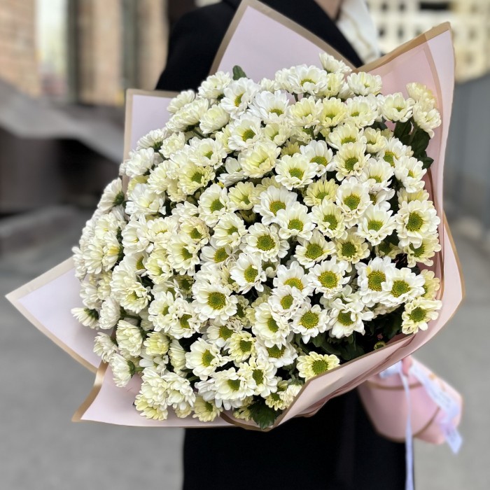 Букет из 25 белых хризантем Сантини
