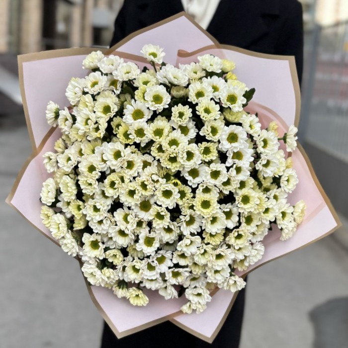 Букет из 25 белых хризантем Сантини