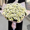 Букет из 25 белых хризантем Сантини