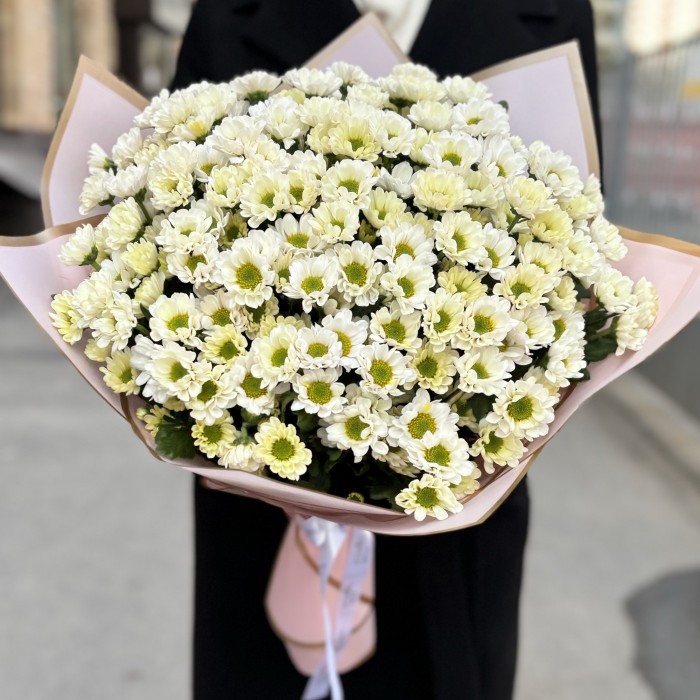 Букет из 25 белых хризантем Сантини