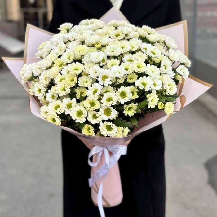 Букет из 25 белых хризантем Сантини