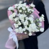 Букет из 25 белых кустовых гвоздик