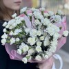 Букет из 25 белых кустовых гвоздик