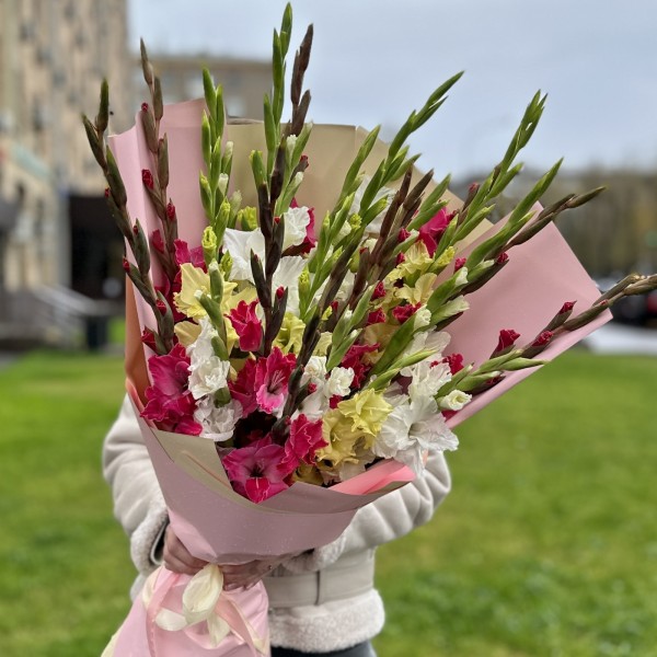 Букет из 25 разноцветных гладиолусов