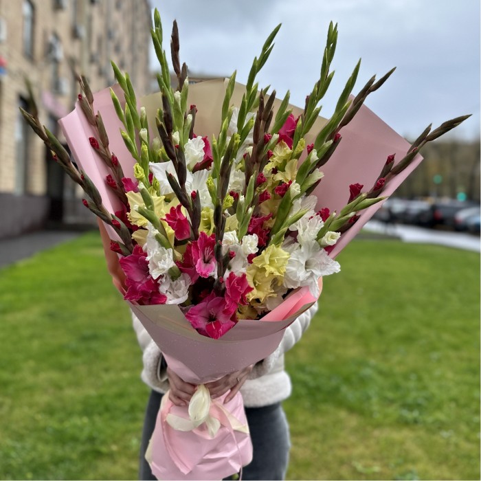 Букет из 25 разноцветных гладиолусов