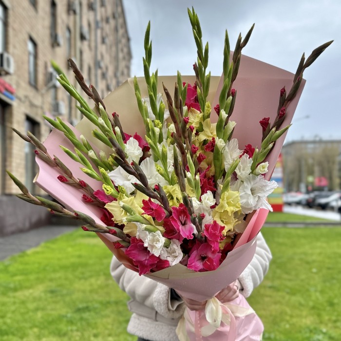 Букет из 25 разноцветных гладиолусов