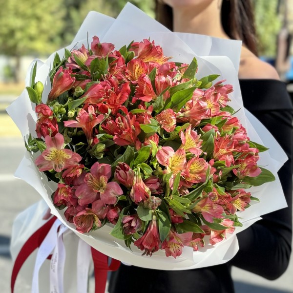 Букет из 25 красных альстромерий